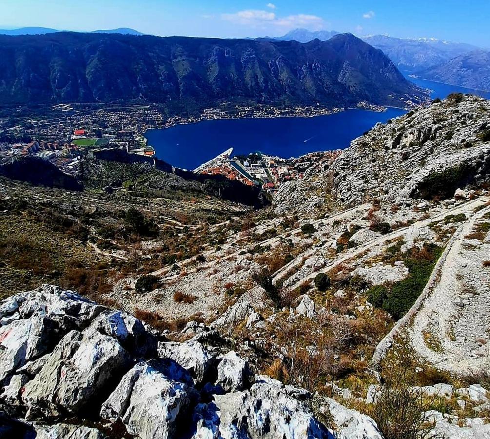 Apartments Pejanovic Kotor Exteriér fotografie