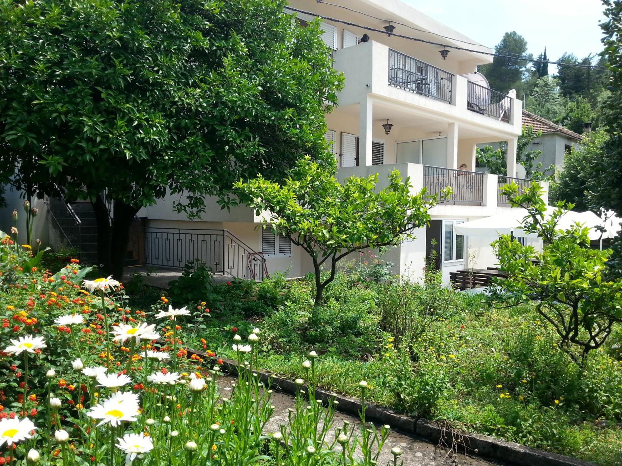 Apartments Pejanovic Kotor Exteriér fotografie